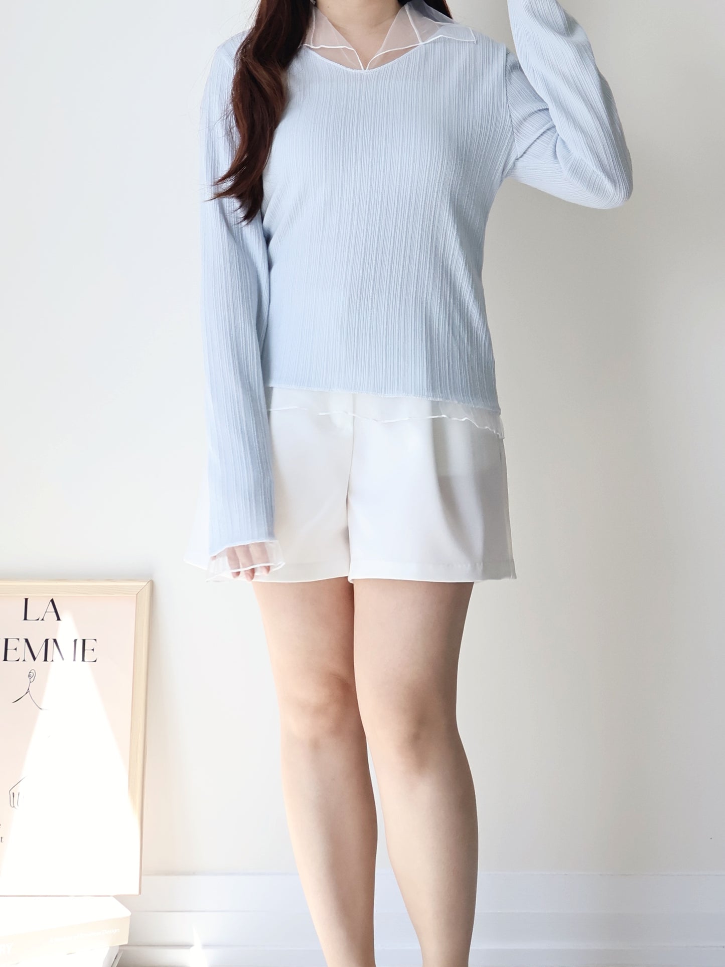 Graceful Sheer Trim V-Neck Top(Skyblue)