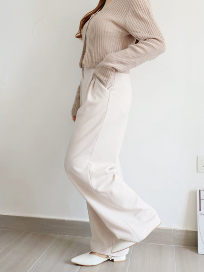 [Best Seller🏅] Wrinkle-free Fabric Pleated Straight Leg Trousers(Beige)