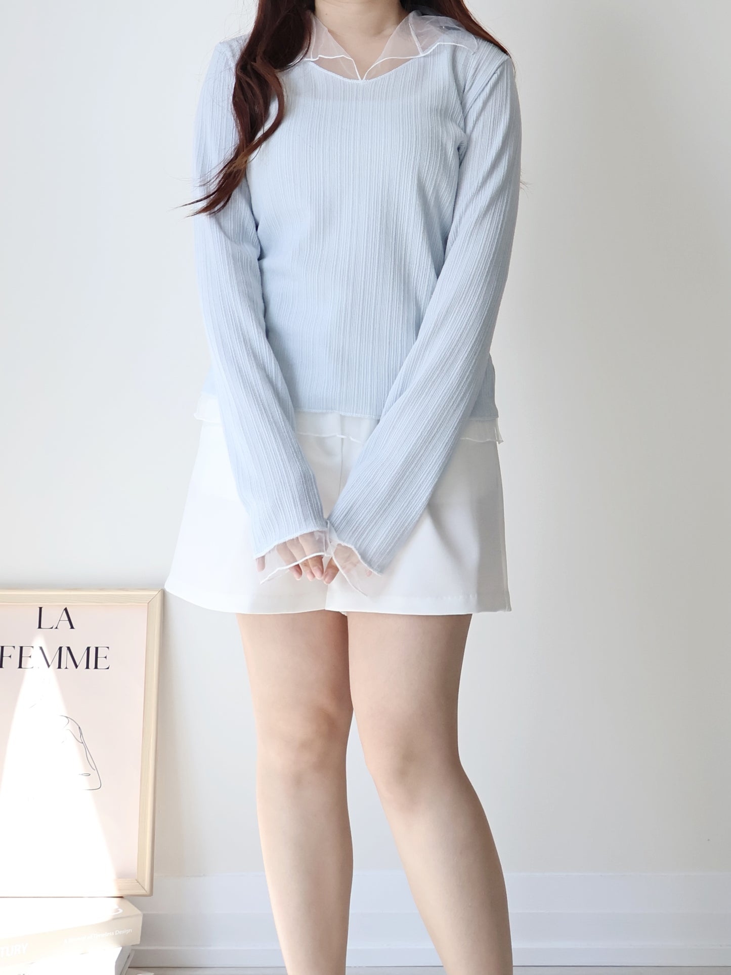 Graceful Sheer Trim V-Neck Top(Skyblue)
