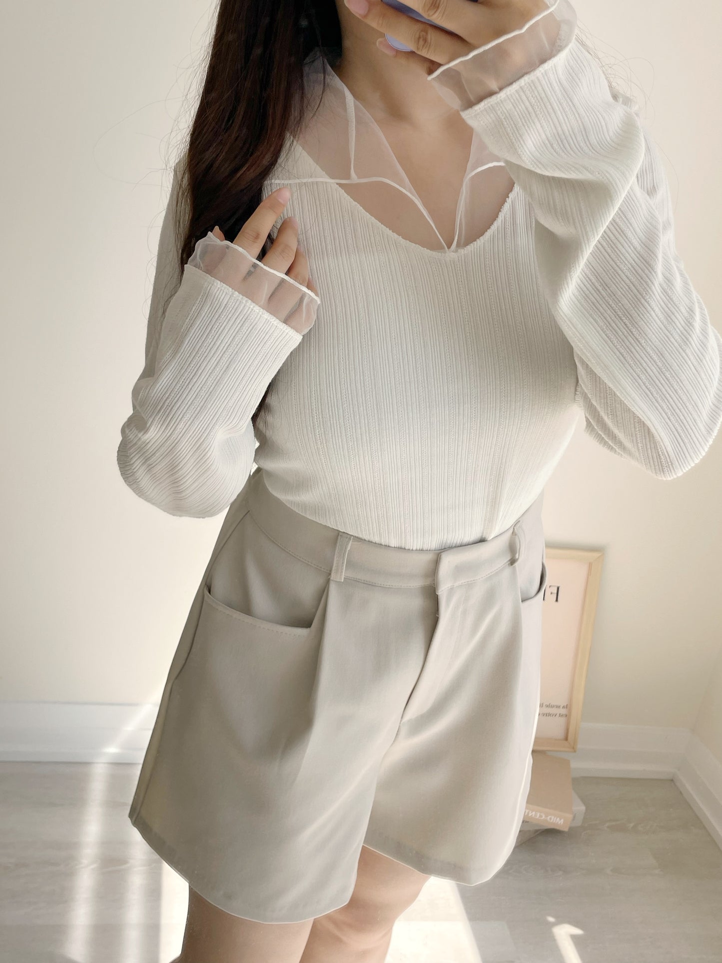 Graceful Sheer Trim V-Neck Top(Ivory)