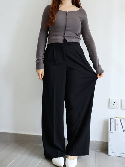 [Best Seller🏅] Wrinkle-free Fabric Pleated Straight Leg Trousers(Black)