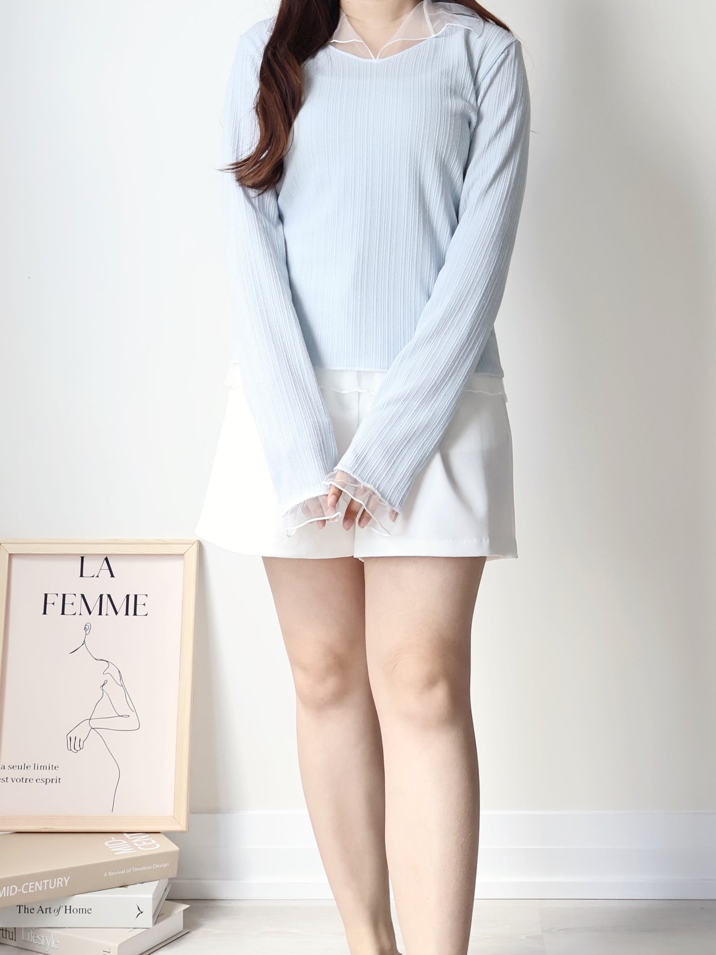 Graceful Sheer Trim V-Neck Top(Skyblue)