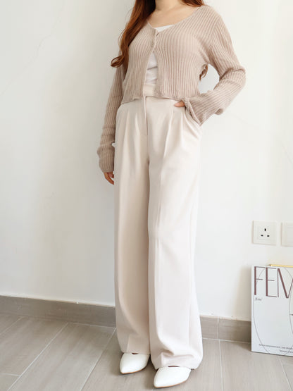 [Best Seller🏅] Wrinkle-free Fabric Pleated Straight Leg Trousers(Beige)