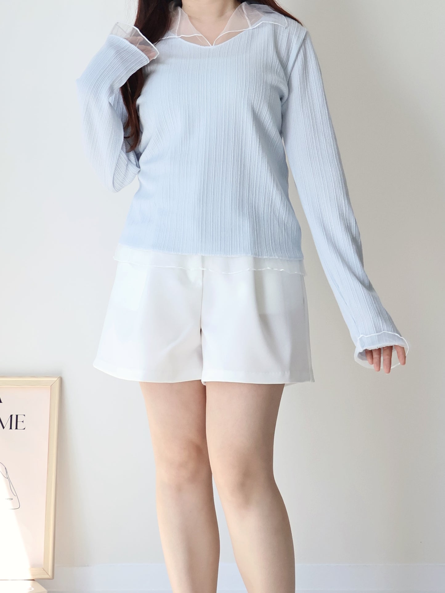 Graceful Sheer Trim V-Neck Top(Skyblue)